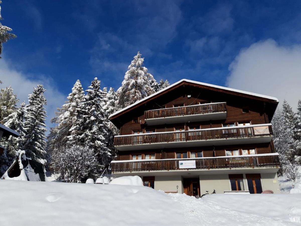 Laerchenwald Lodge Bellwald Exteriör bild
