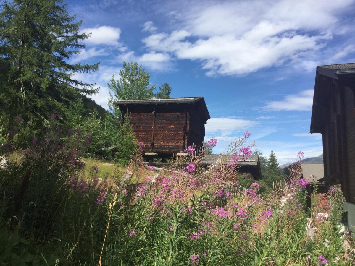 Laerchenwald Lodge Bellwald Exteriör bild