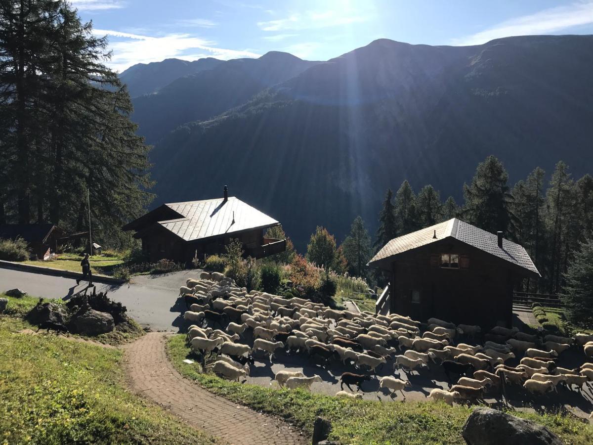 Laerchenwald Lodge Bellwald Exteriör bild