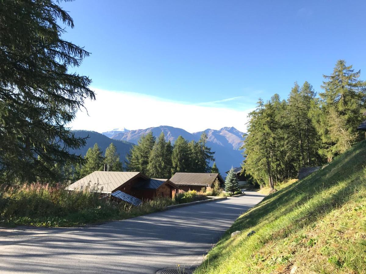 Laerchenwald Lodge Bellwald Exteriör bild